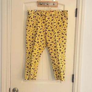 Capri length dress pants size 12